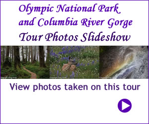 Olympic National Park and Columbia River Gorge tour photos
