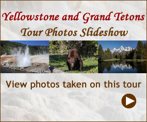 Yellowstone Grand Teton Tour Photos